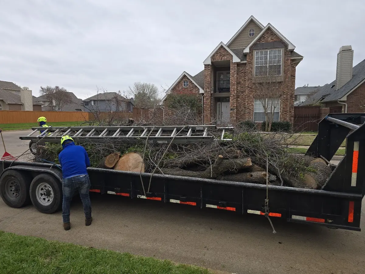 Expert Tree Removal with proper safety equipment in Holicong